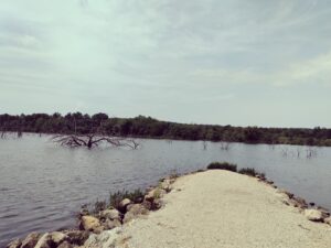Amarugia Lake 3